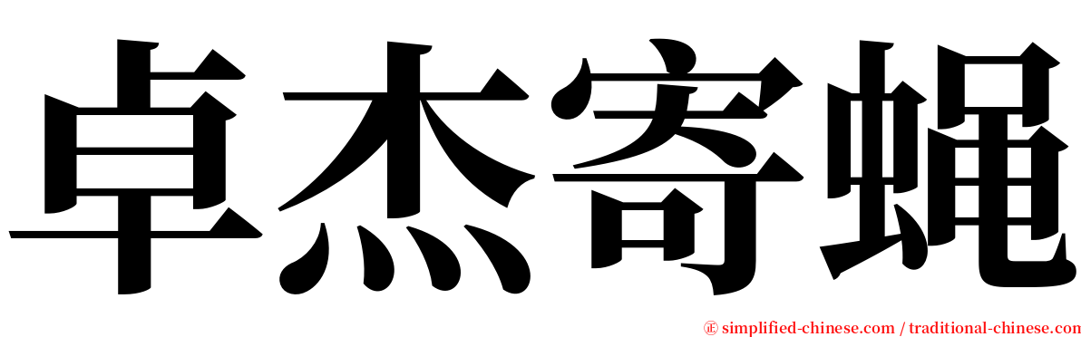 卓杰寄蝇 serif font