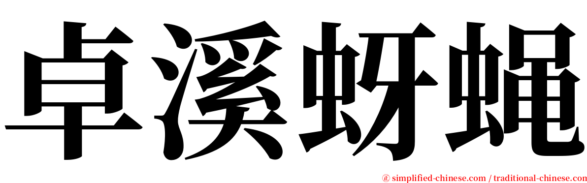 卓溪蚜蝇 serif font