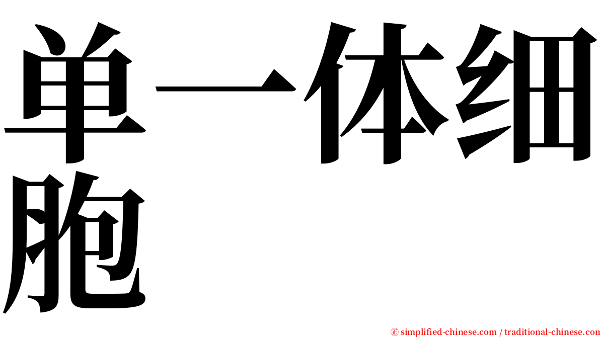 单一体细胞 serif font