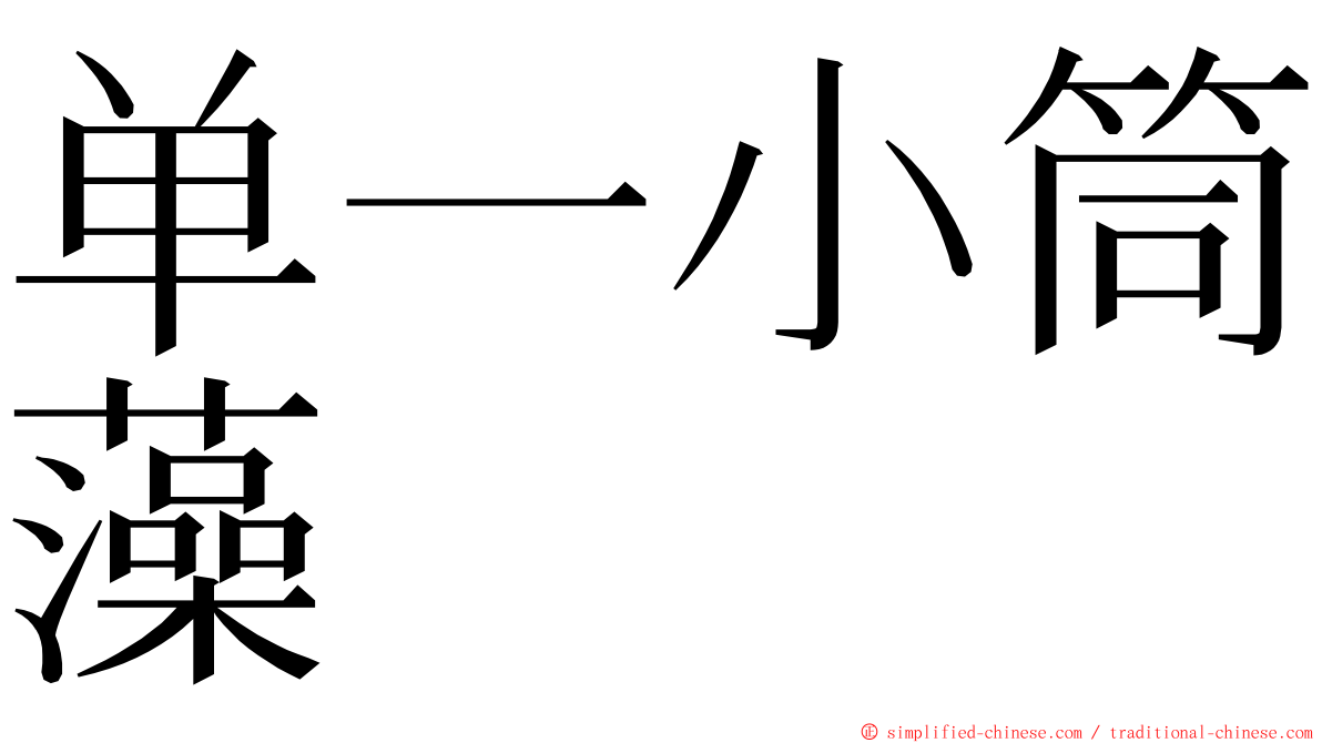 单一小筒藻 ming font