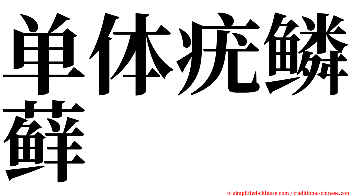 单体疣鳞藓 serif font