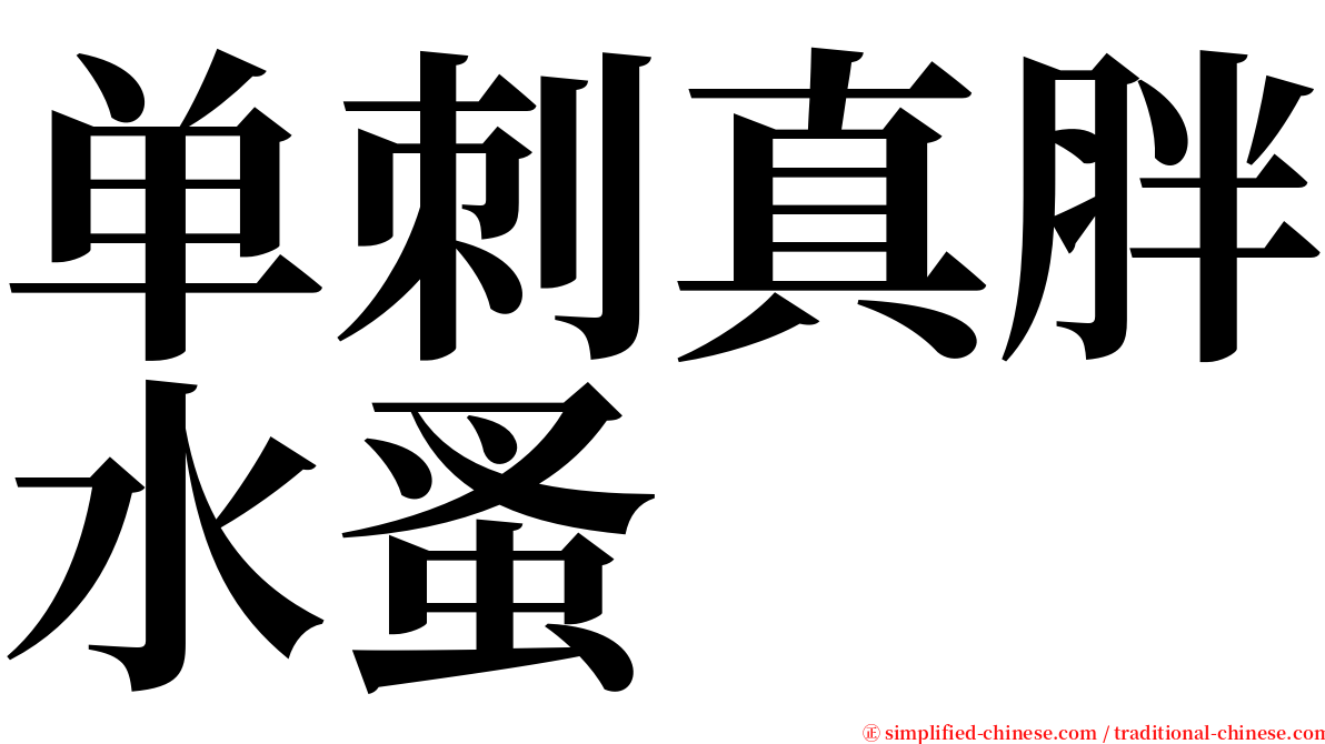 单刺真胖水蚤 serif font