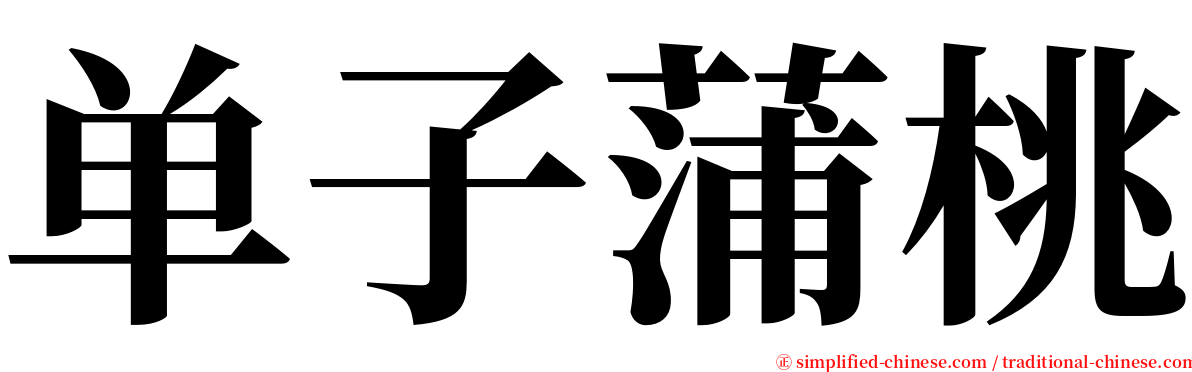 单子蒲桃 serif font