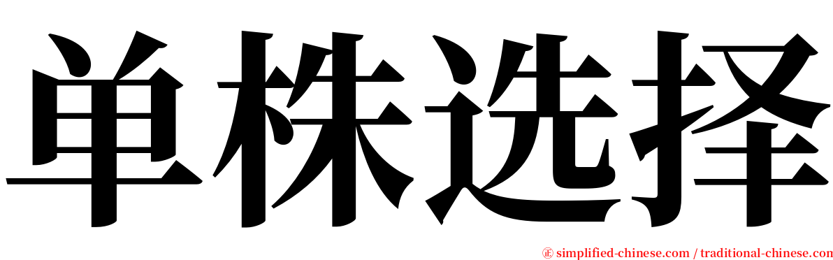 单株选择 serif font