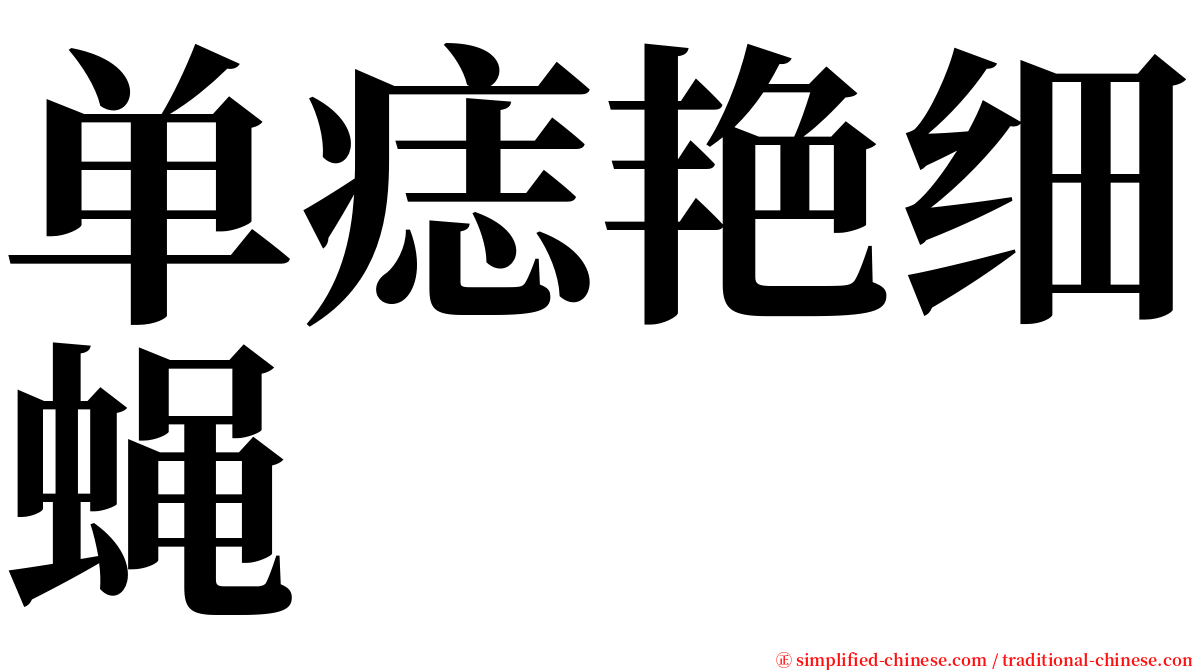 单痣艳细蝇 serif font