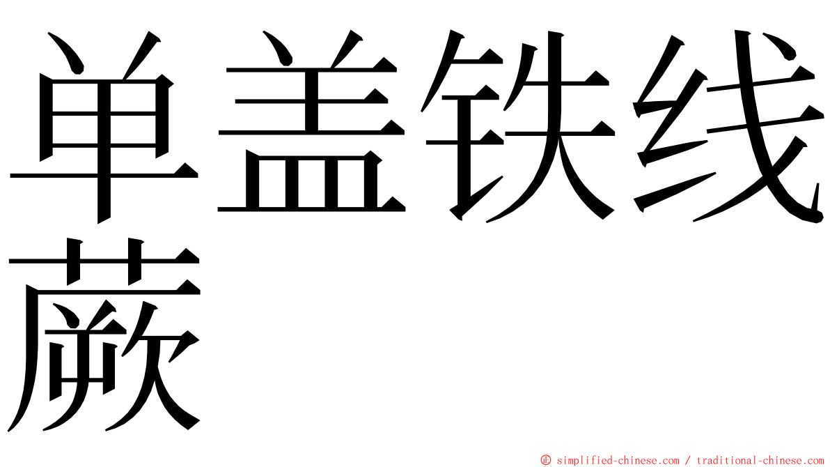 单盖铁线蕨 ming font