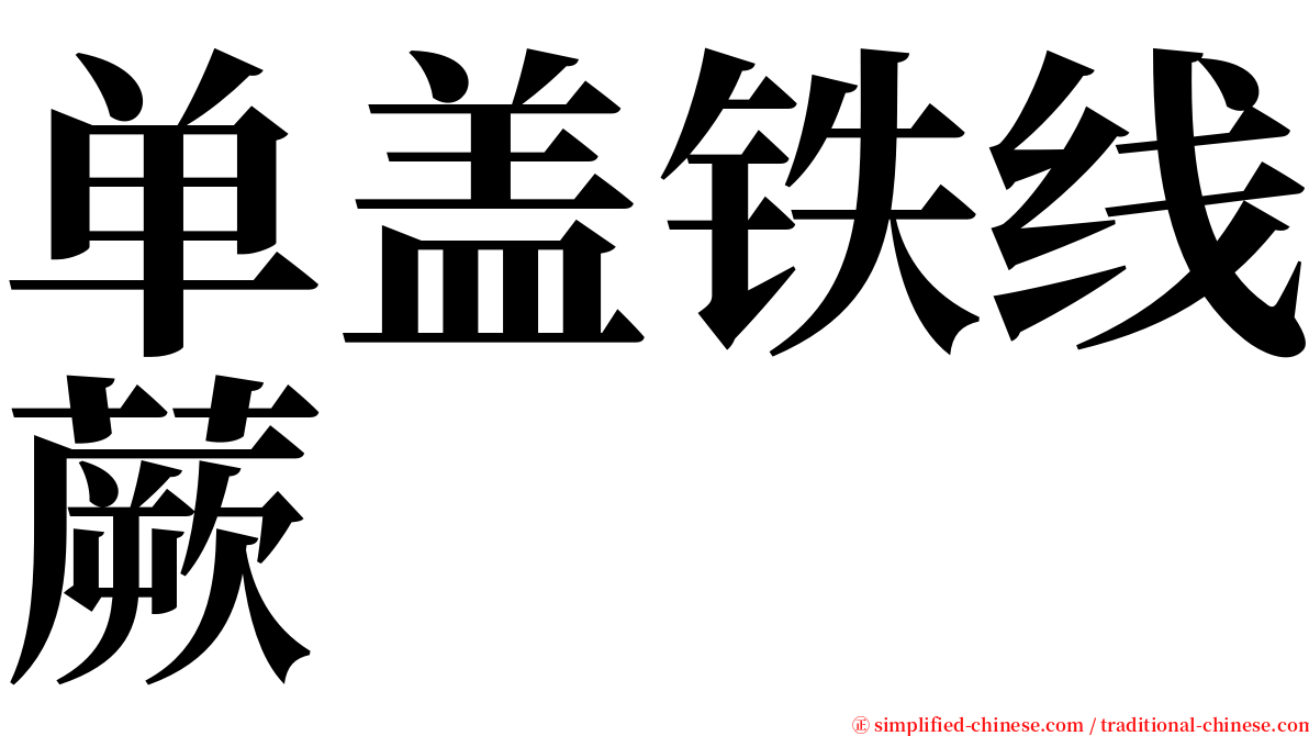 单盖铁线蕨 serif font