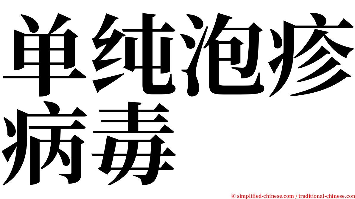 单纯泡疹病毒 serif font