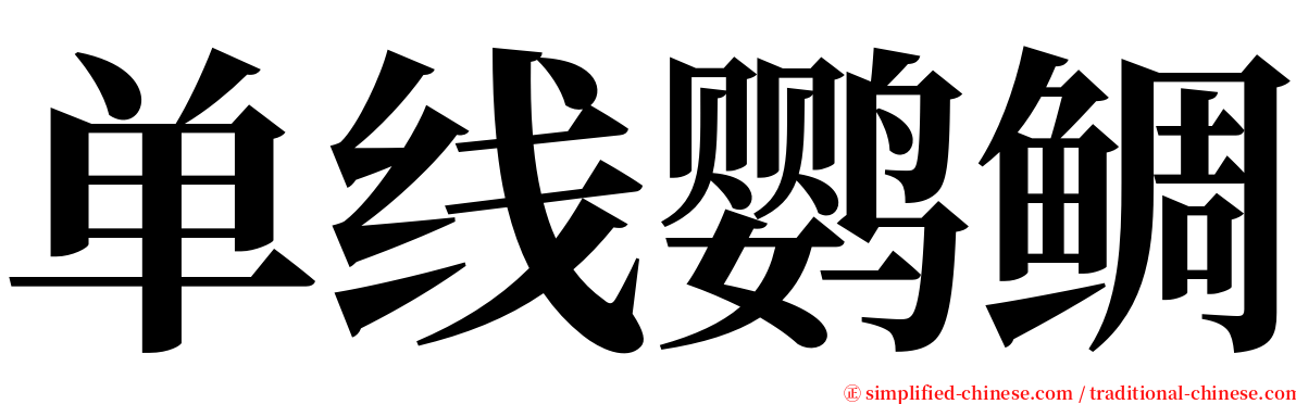 单线鹦鲷 serif font