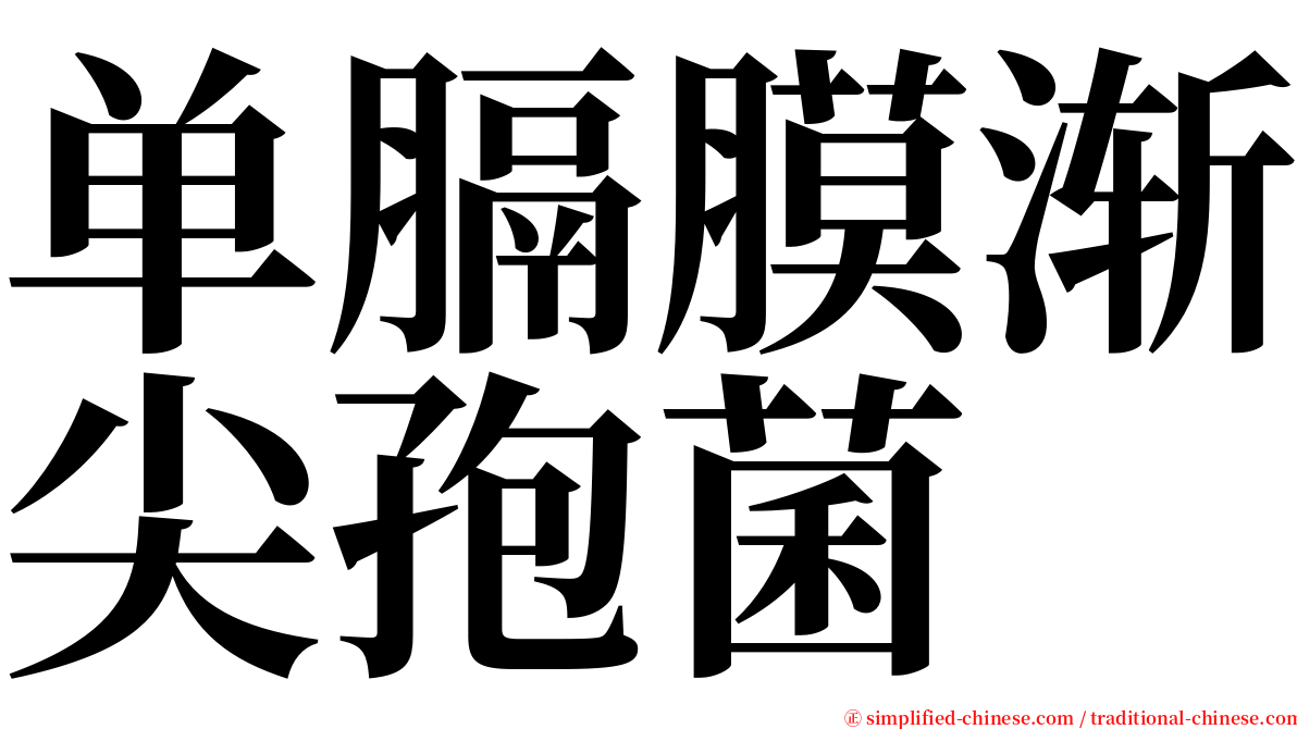 单膈膜渐尖孢菌 serif font