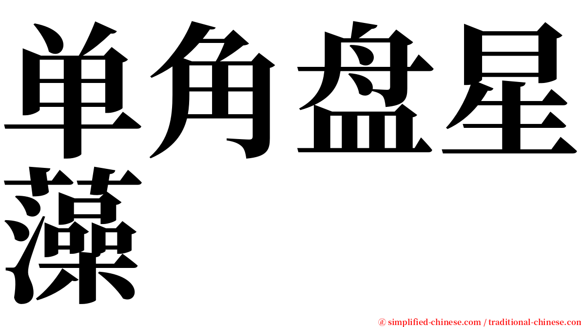 单角盘星藻 serif font