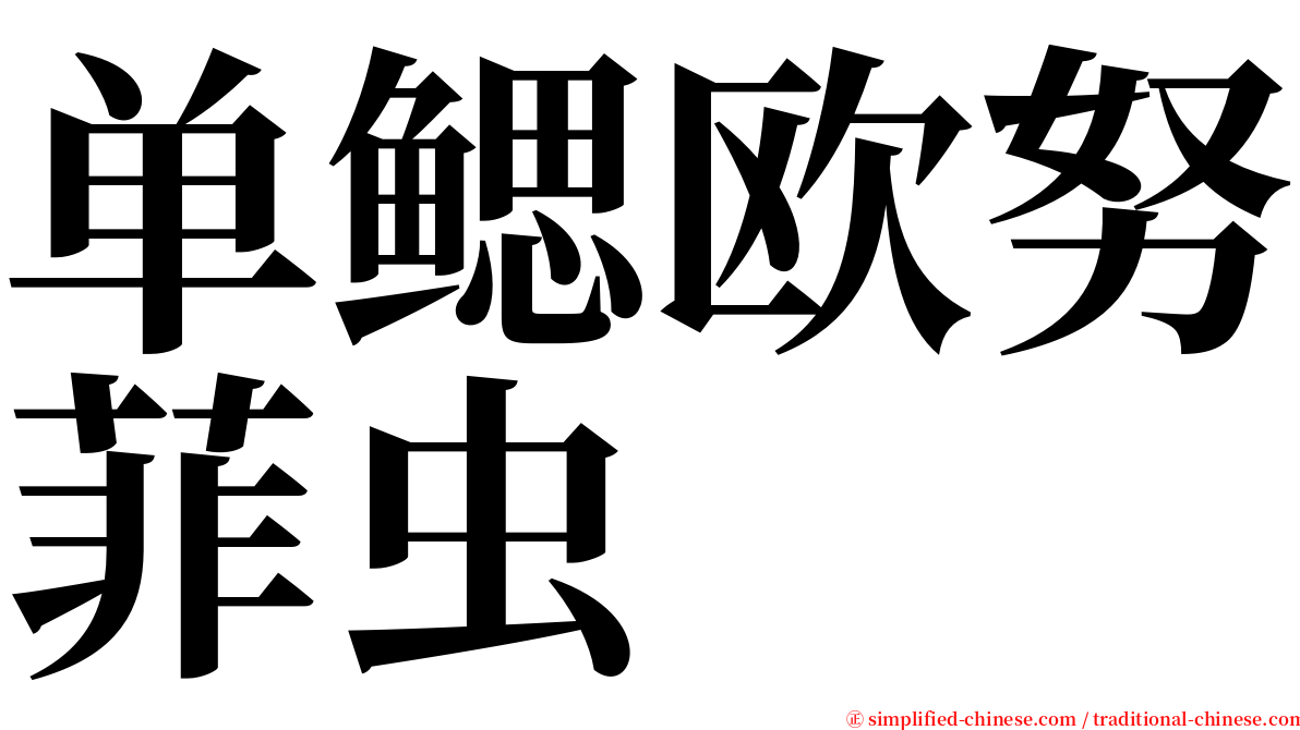 单鳃欧努菲虫 serif font