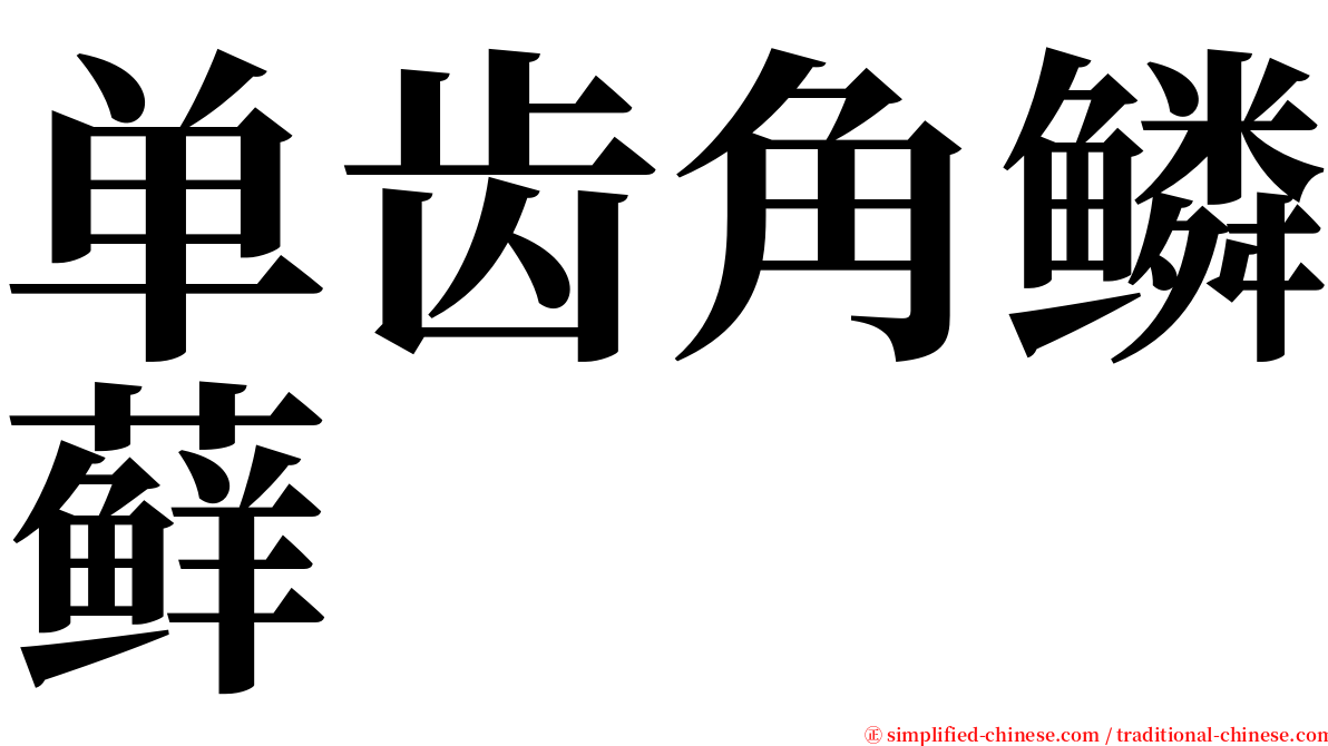 单齿角鳞藓 serif font