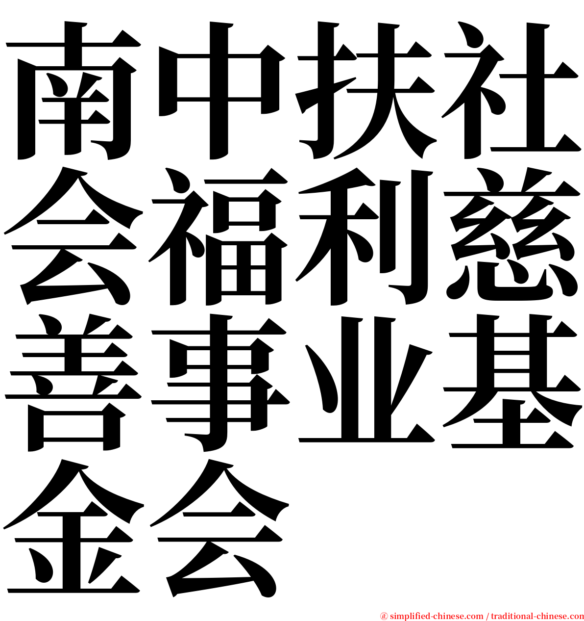 南中扶社会福利慈善事业基金会 serif font