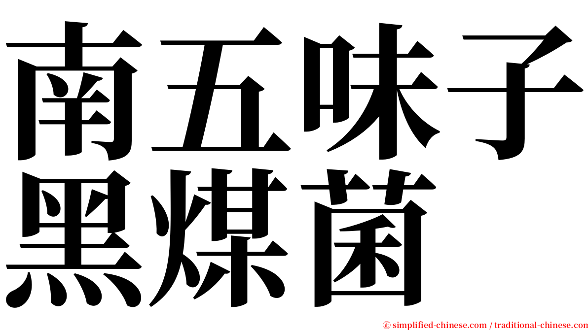 南五味子黑煤菌 serif font