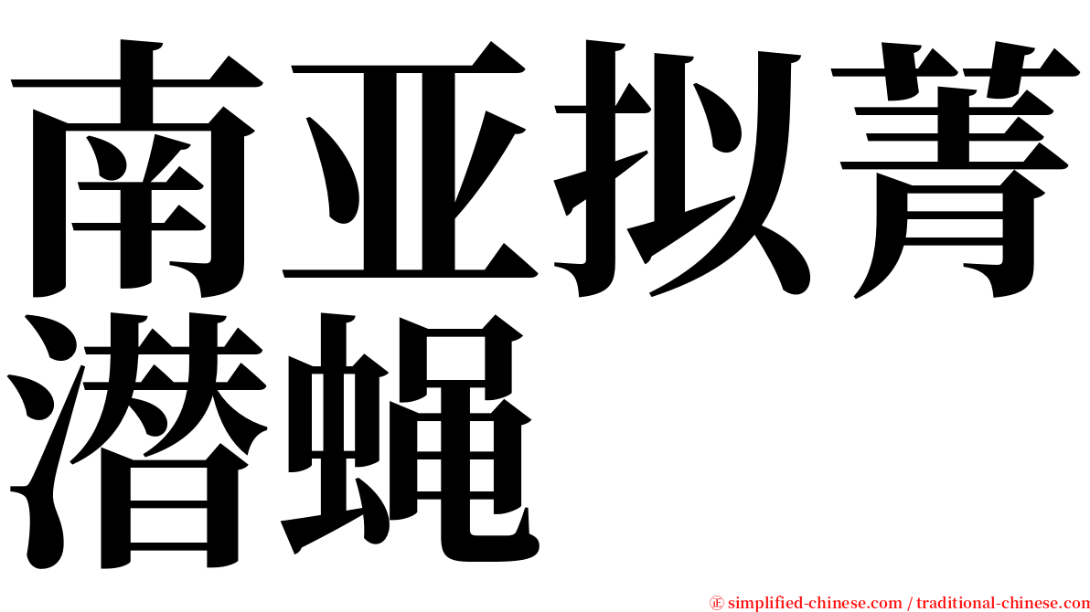 南亚拟菁潜蝇 serif font