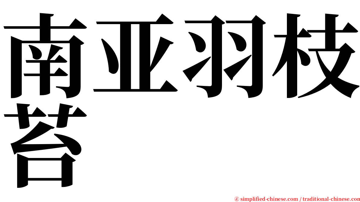 南亚羽枝苔 serif font