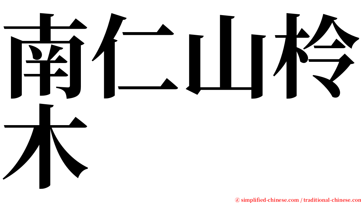 南仁山柃木 serif font