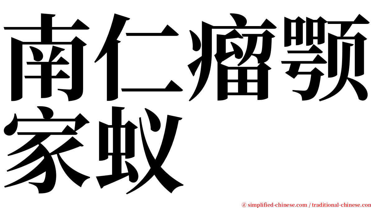 南仁瘤颚家蚁 serif font