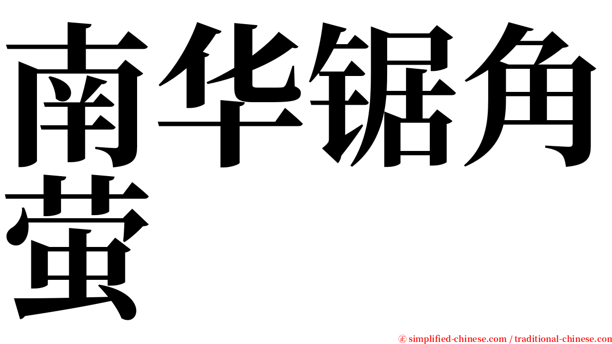 南华锯角萤 serif font