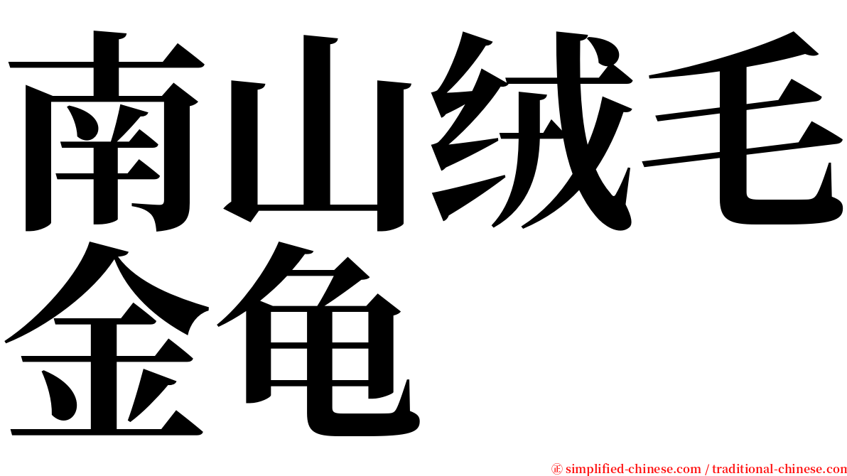 南山绒毛金龟 serif font