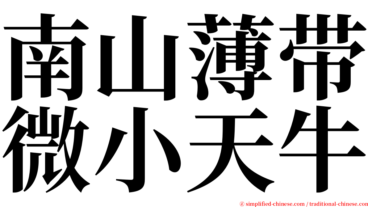 南山薄带微小天牛 serif font