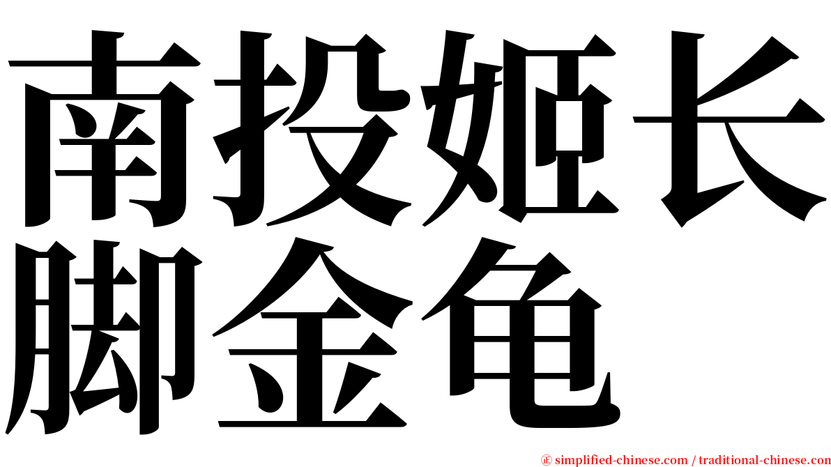 南投姬长脚金龟 serif font