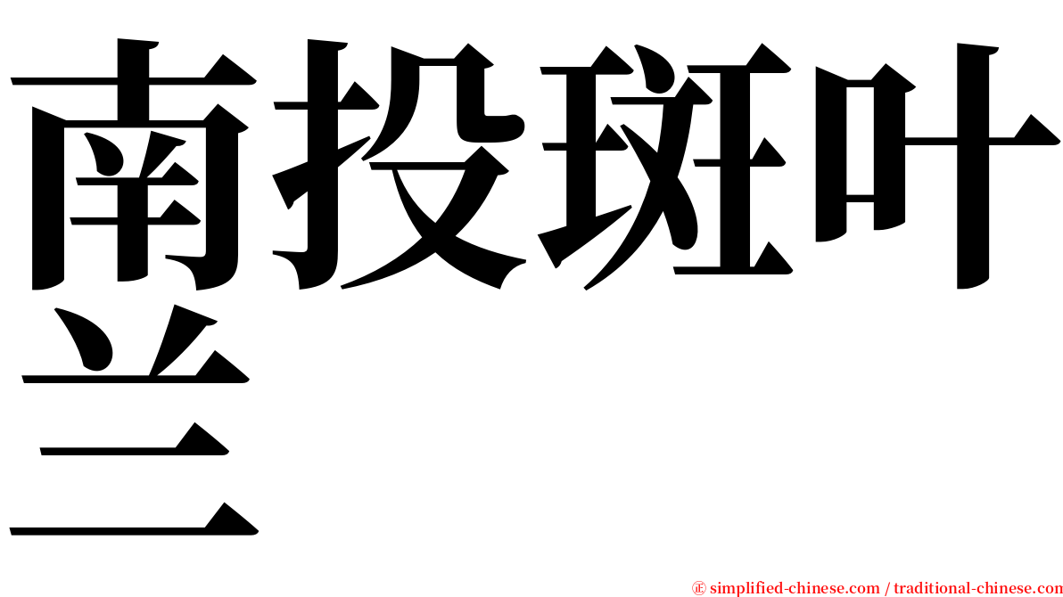 南投斑叶兰 serif font