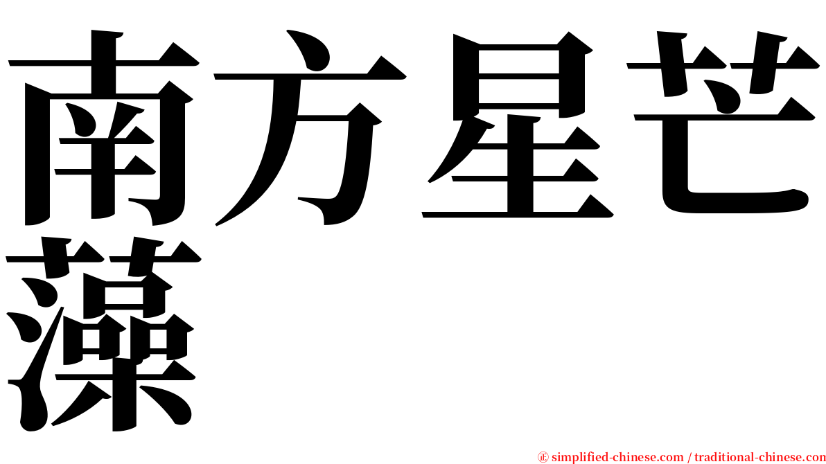 南方星芒藻 serif font