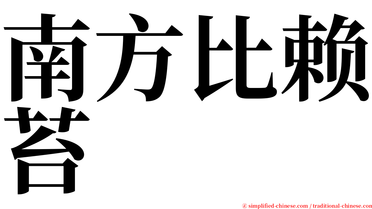 南方比赖苔 serif font