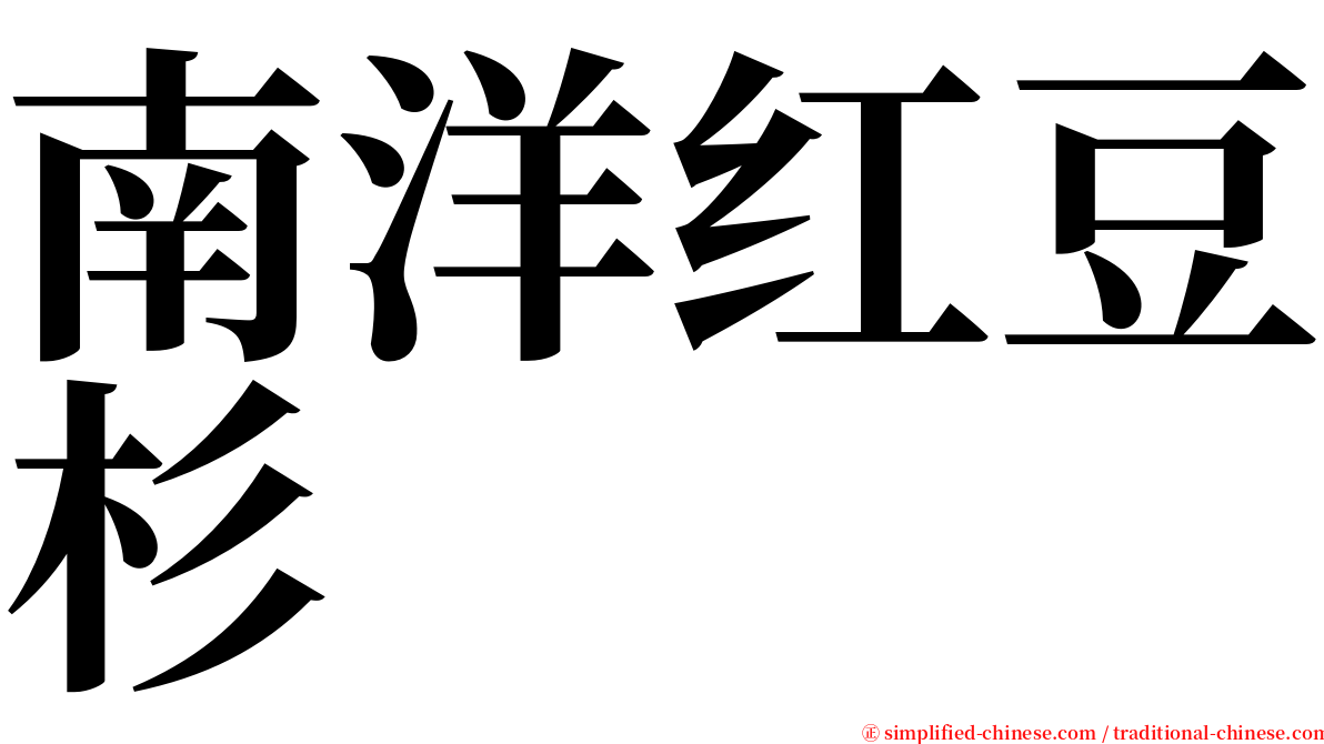 南洋红豆杉 serif font