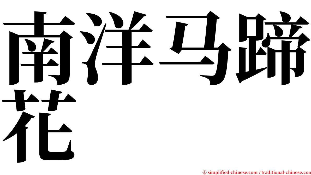 南洋马蹄花 serif font