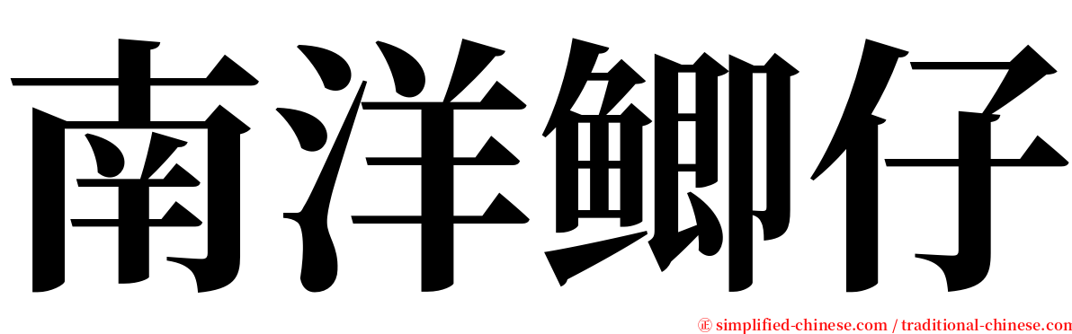 南洋鲫仔 serif font