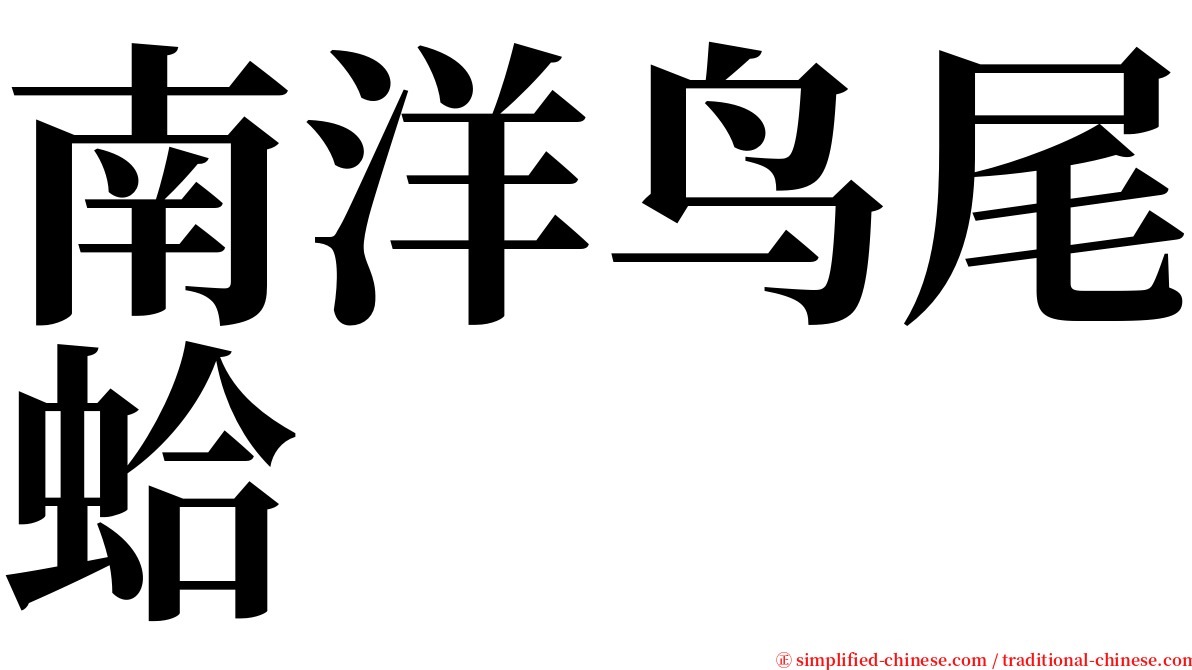 南洋鸟尾蛤 serif font