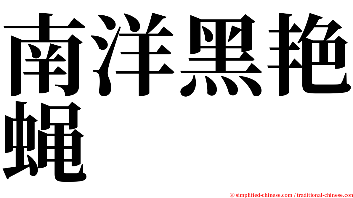 南洋黑艳蝇 serif font