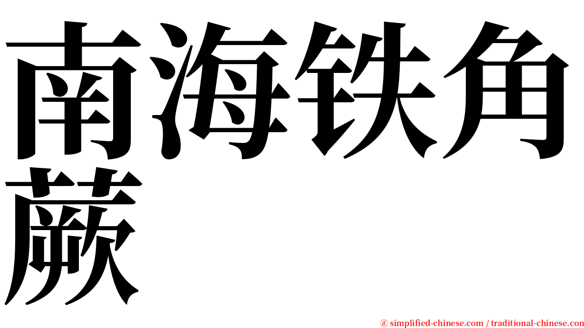 南海铁角蕨 serif font