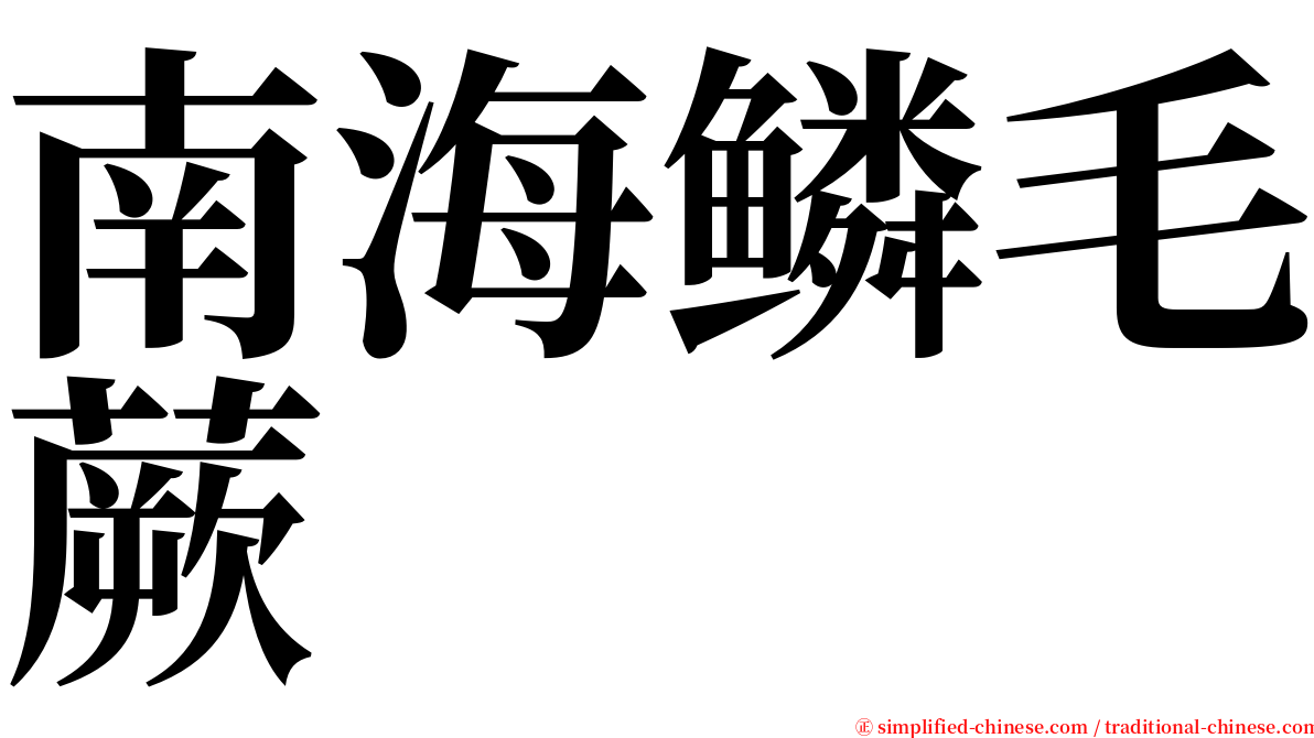 南海鳞毛蕨 serif font