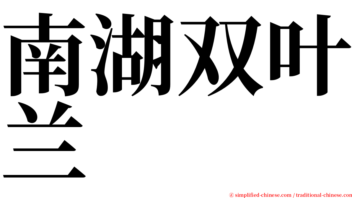 南湖双叶兰 serif font