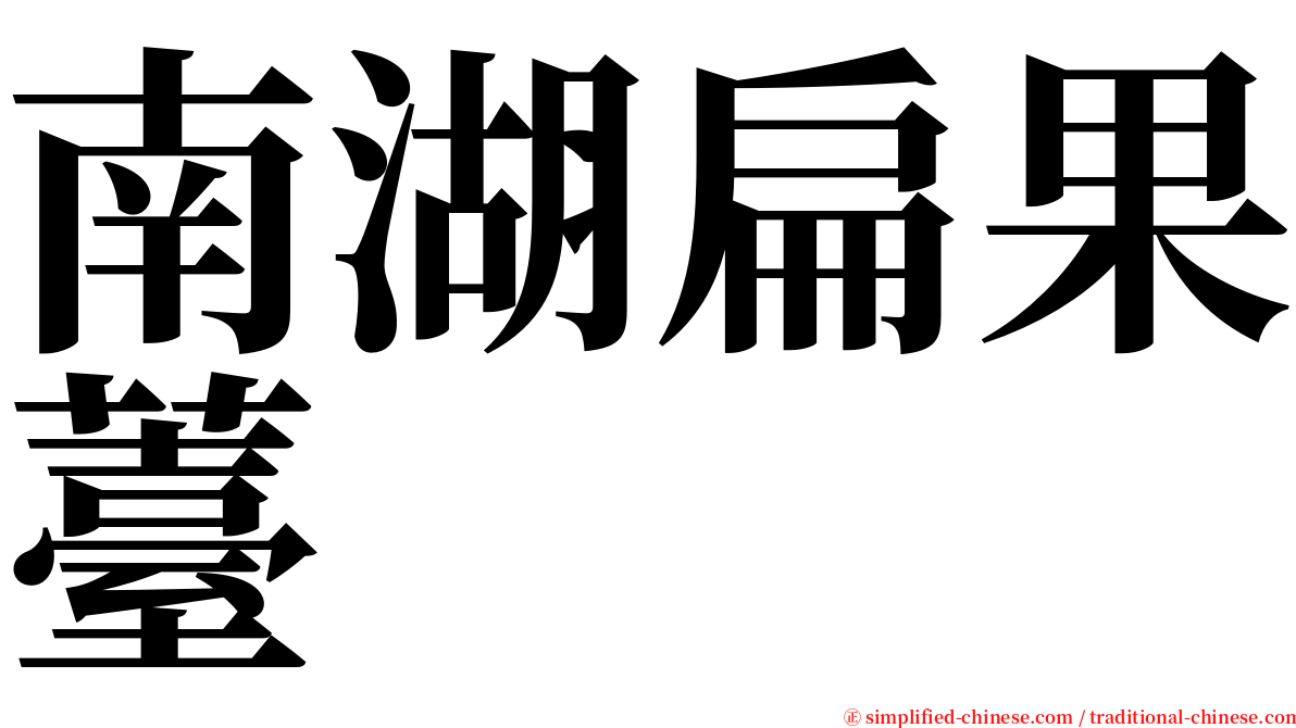 南湖扁果薹 serif font