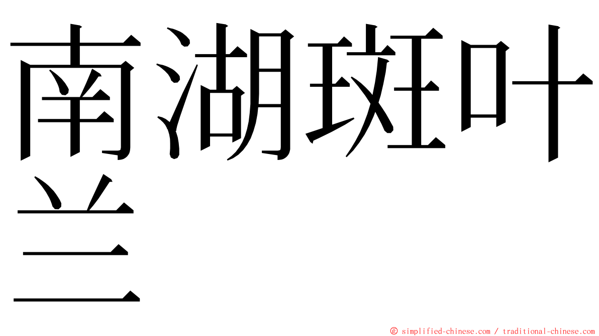 南湖斑叶兰 ming font