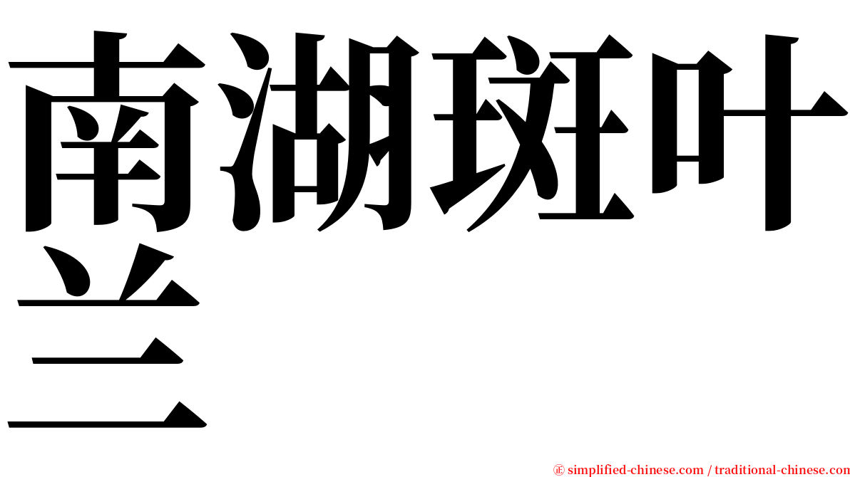 南湖斑叶兰 serif font