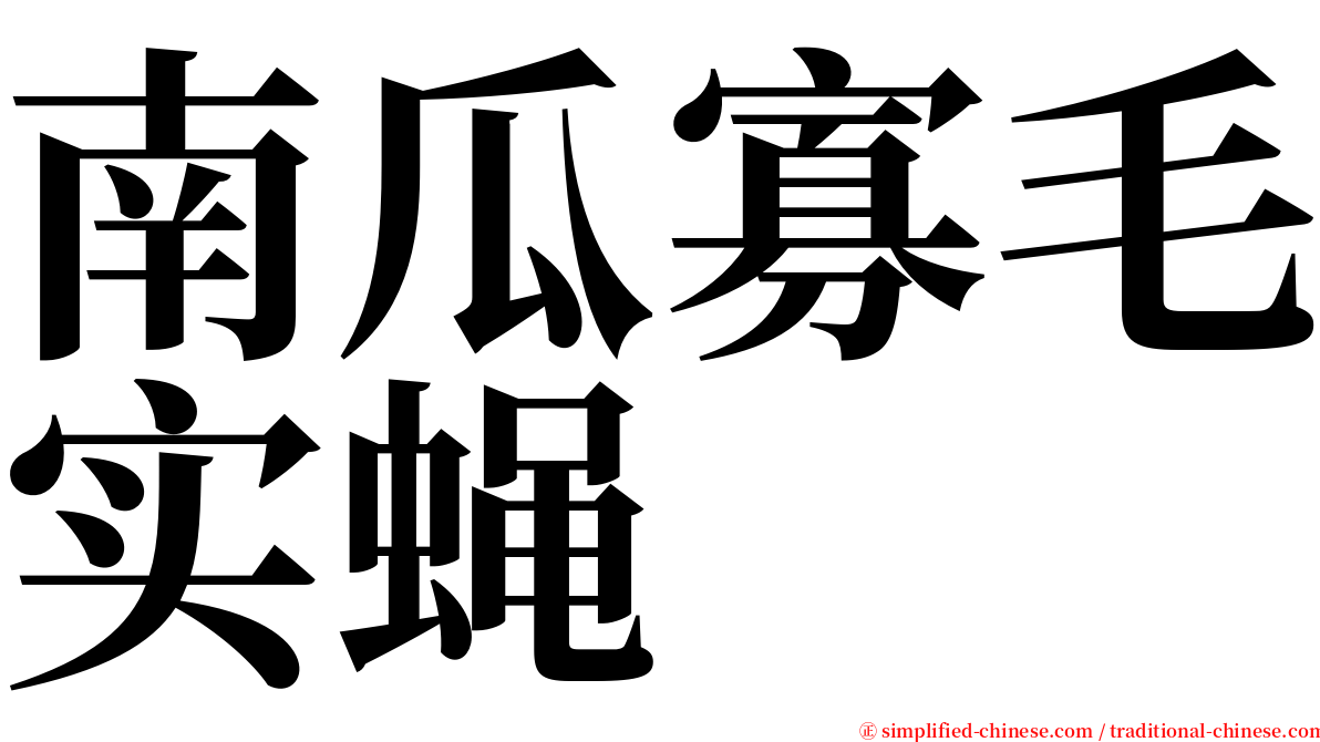 南瓜寡毛实蝇 serif font