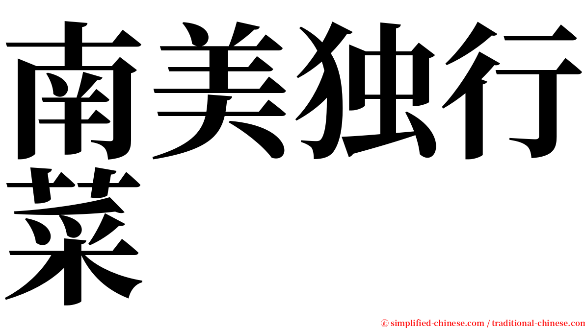 南美独行菜 serif font