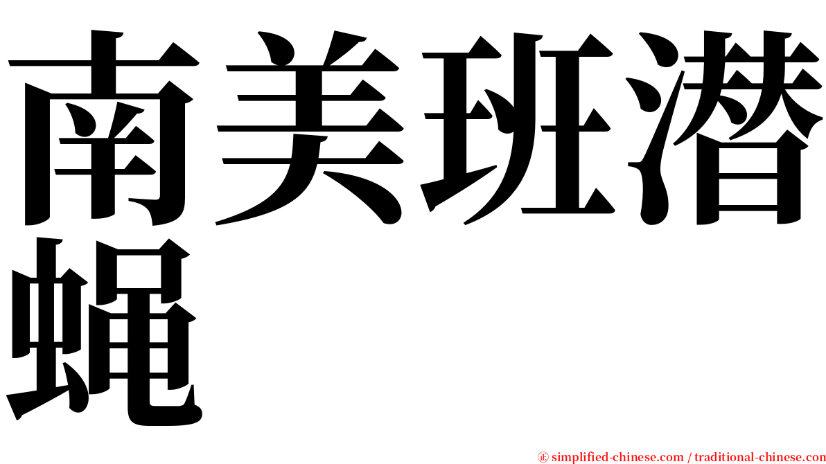 南美班潜蝇 serif font