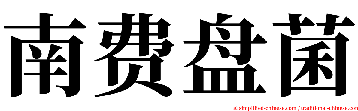 南费盘菌 serif font