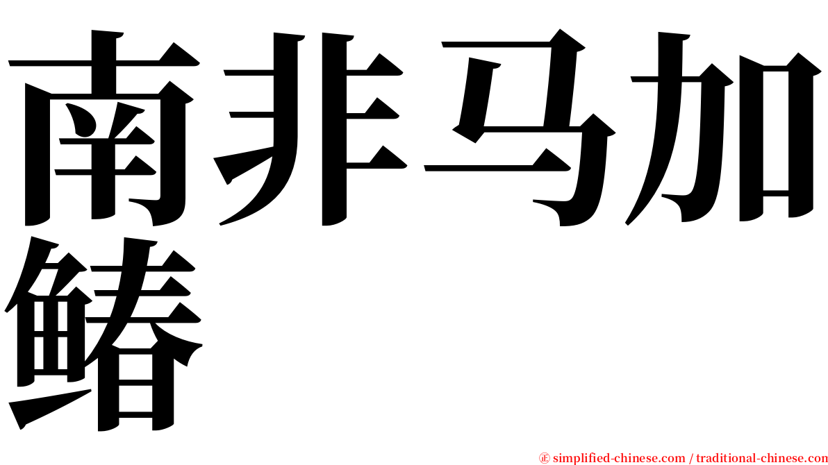 南非马加䲠 serif font