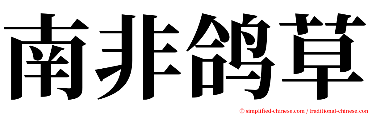 南非鸽草 serif font