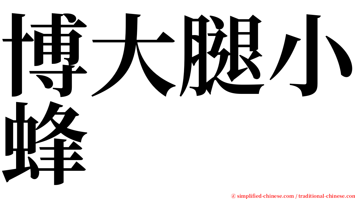 博大腿小蜂 serif font