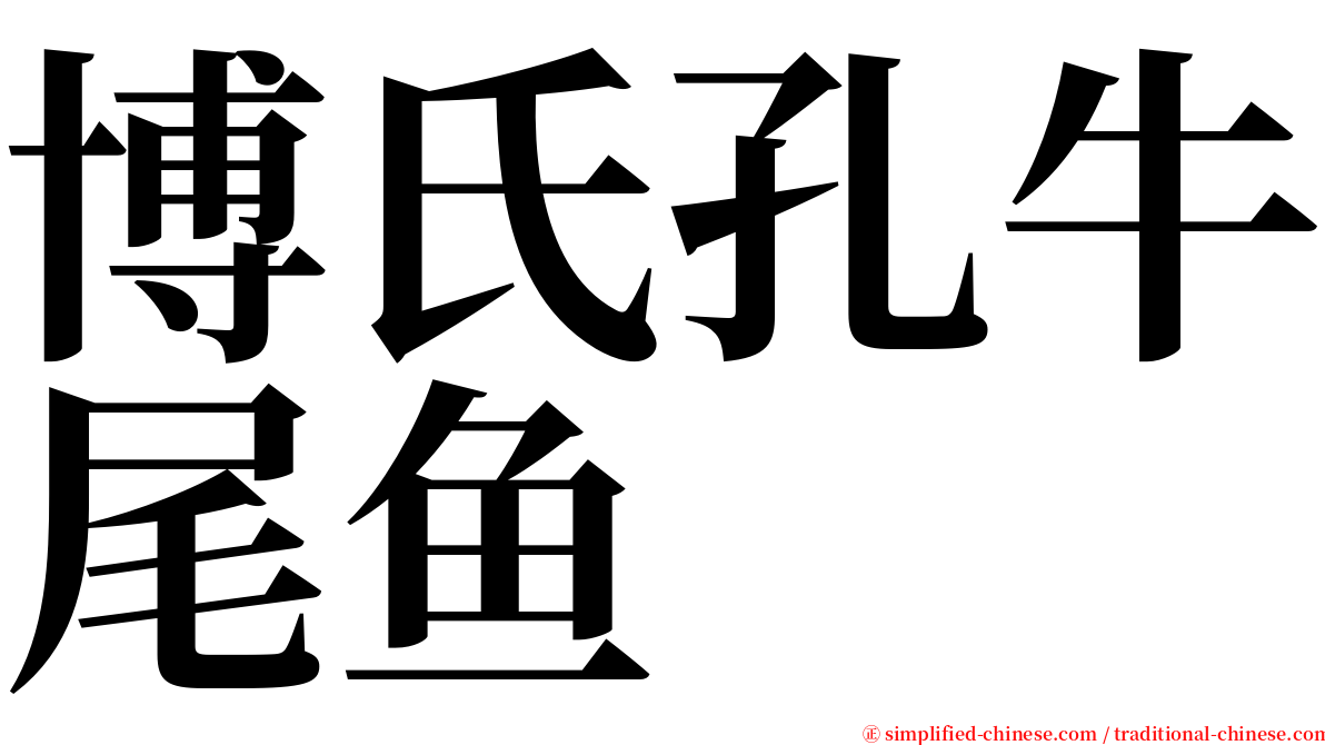 博氏孔牛尾鱼 serif font