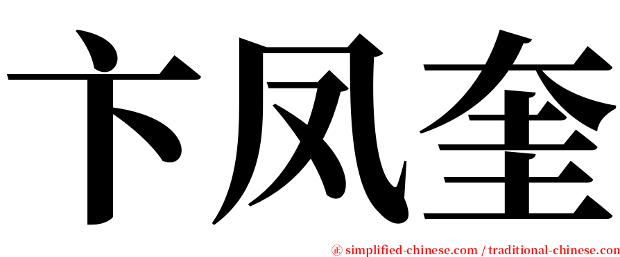 卞凤奎 serif font